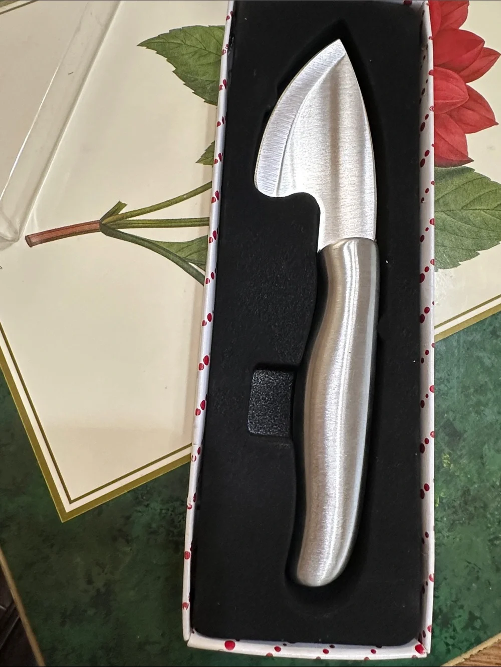 Stainless Steel Cheese knife - 7 1/4” - NIB